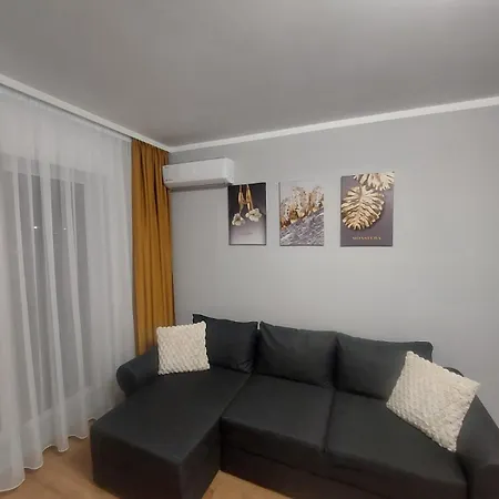 Апартаменты Cozyhome2 Брашов